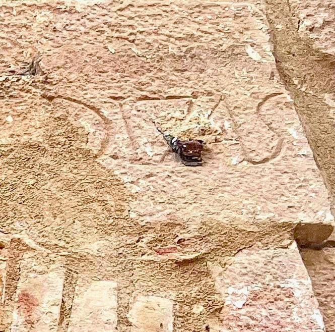 Casa Rural Verde Oliva Baños de la Encina エクステリア 写真